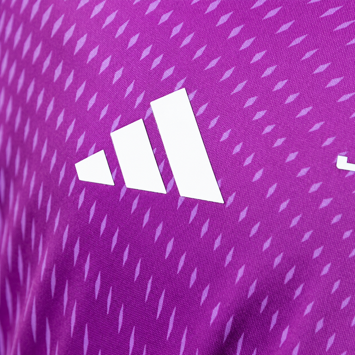 Camiseta Colo-Colo Arquero Morada 2025/26