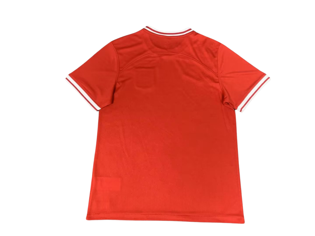 Camiseta Selección Polonia